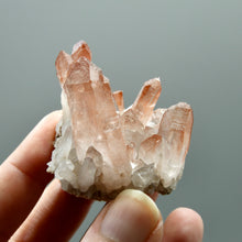 Load image into Gallery viewer, Tantric Twin Soulmate Strawberry Pink Lemurian Seed Quartz Crystal Starbary Cluster, Scarlet Temple Lemurian, Brazil
