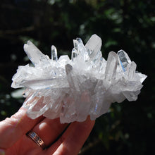 Load image into Gallery viewer, Optical Lemurian Quartz Crystal Cluster, Corinto, Brazil
