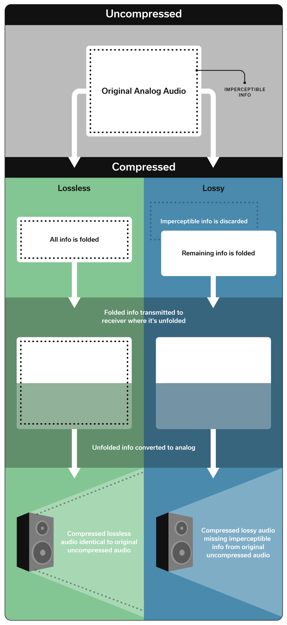 Lossless Vs Loss Audio Compression