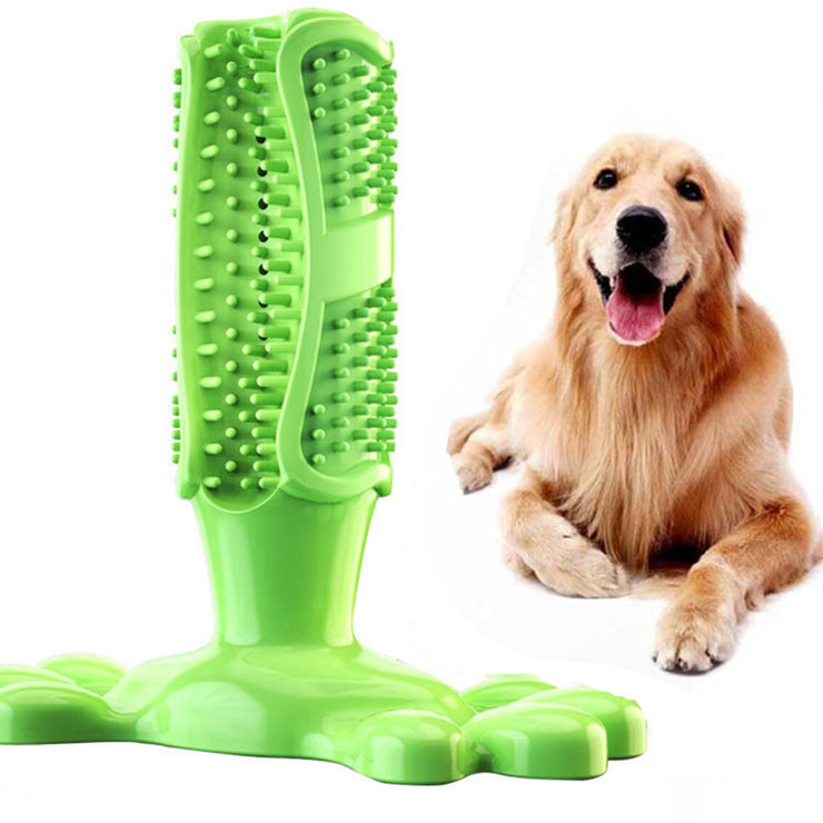 brosse a dent pour chien jouet