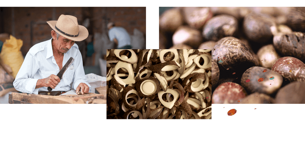 A man carving the tagua nut