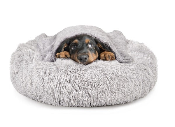 dog bed with blanket