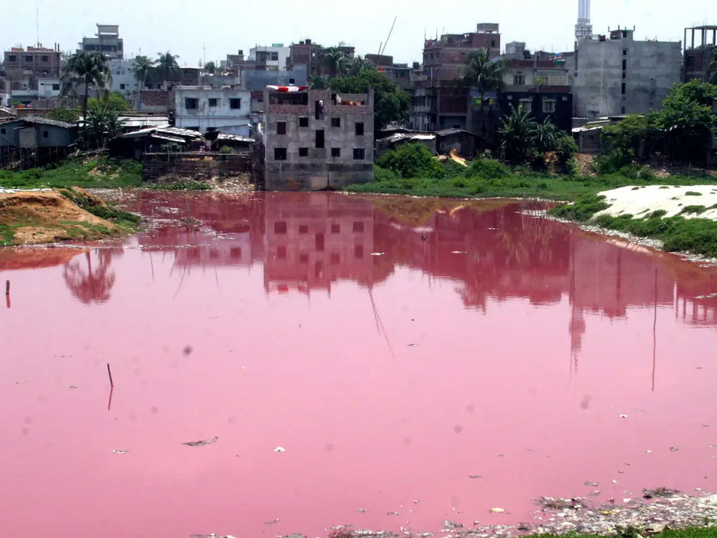 River pollution, China