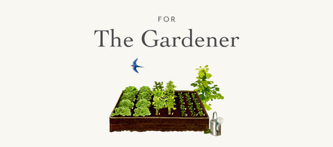The Gardener | Felix Doolittle