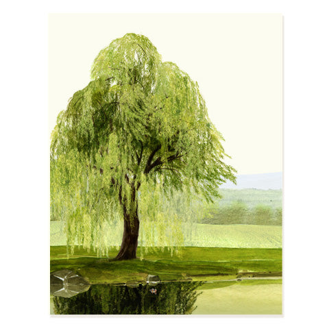 free downloads Whispering Willows