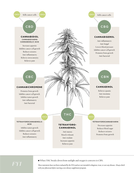 Hemp Flower Cannabinoid Chart