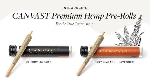 Canvast Premium Hemp Pre-rolls made of premium high quality organic flower