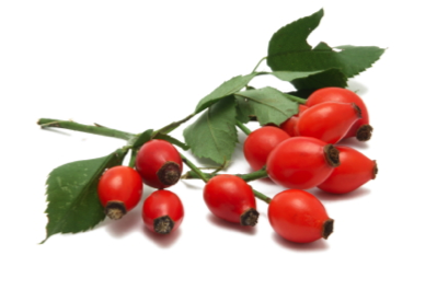 rosehip seed oil benefits