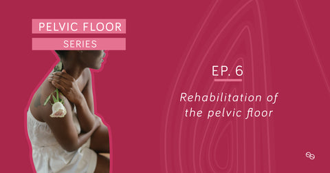 pelvic floor