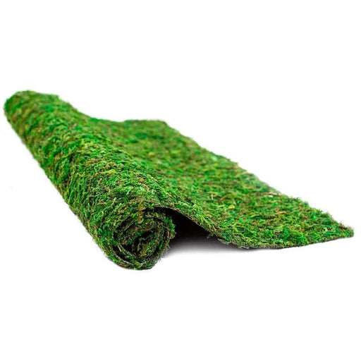 Galapagos Green Sphagnum Moss, 150 in³