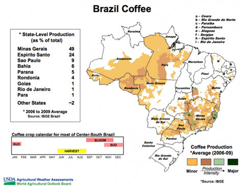 Brezilya Kahve Haritası