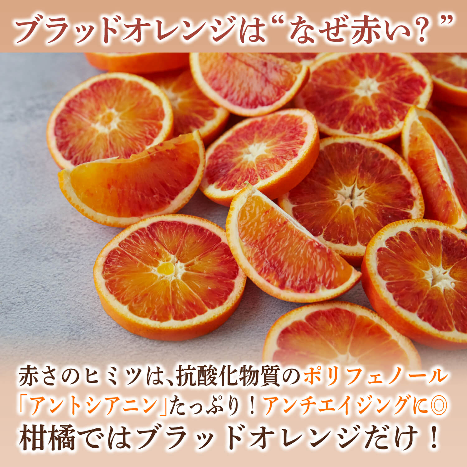 ひとくちブラッドオレンジタロッコフルーツチョコレートバレンタイン人気通販オランジェットオレンジピール