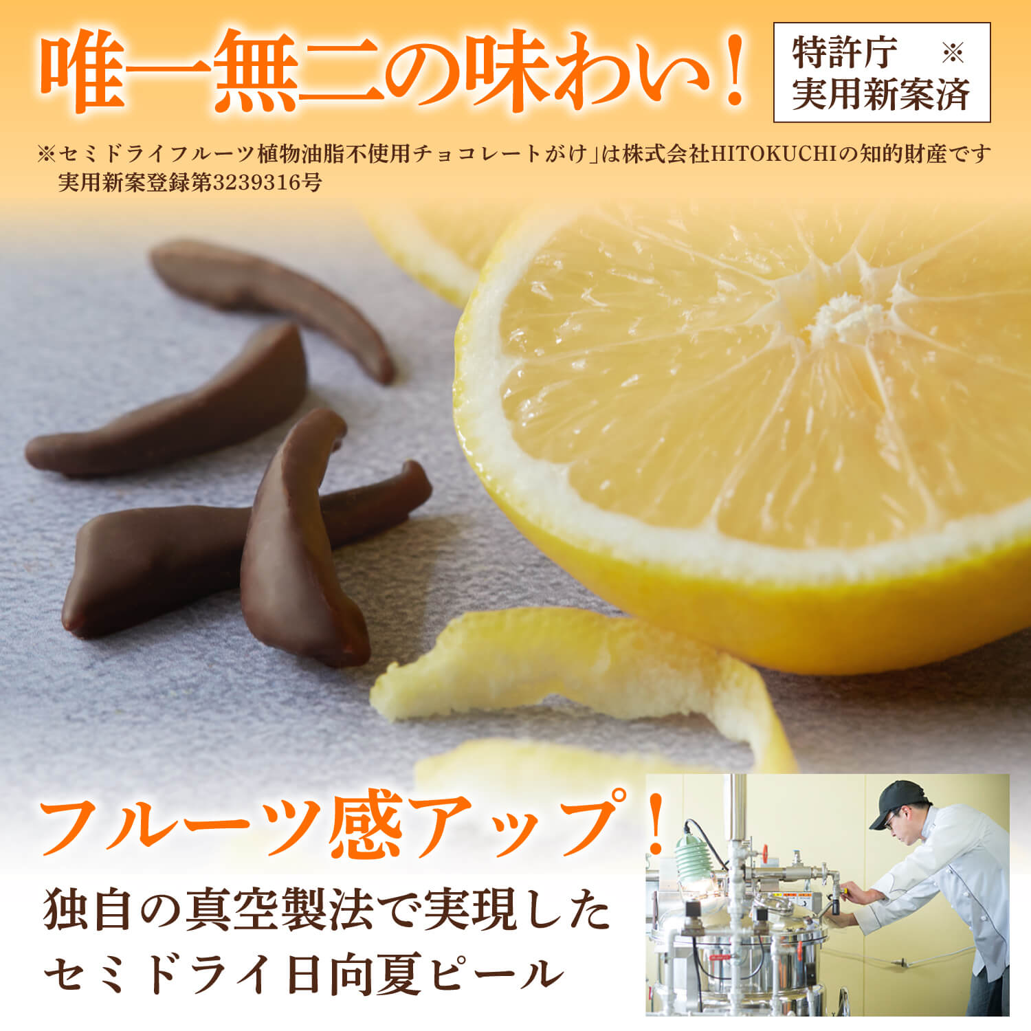 不知火フルーツチョコレート｜みずみずしいセミドライフルーツと植物油脂不使用チョコ｜バレンタインチョコ人気通販ひとくち