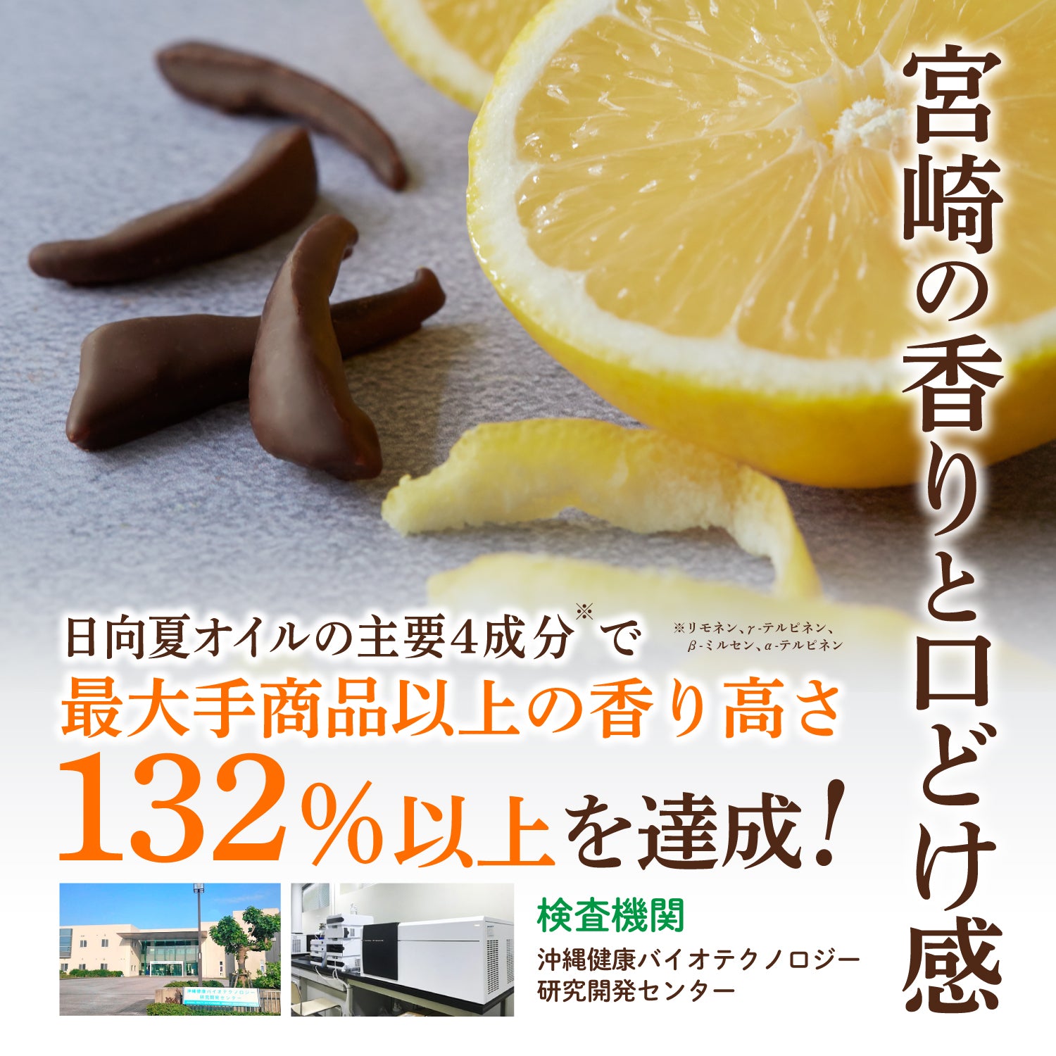 宮崎県産日向夏ピールフルーツチョコレート｜みずみずしいセミドライフルーツと植物油脂不使用チョコ｜バレンタインチョコ人気通販ひとくち