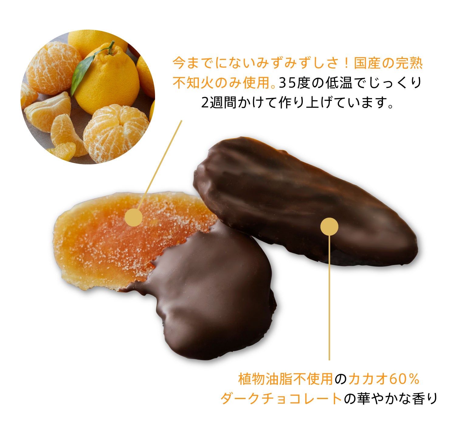 不知火フルーツチョコレート｜みずみずしいセミドライフルーツと植物油脂不使用チョコ｜バレンタインチョコ人気通販ひとくち