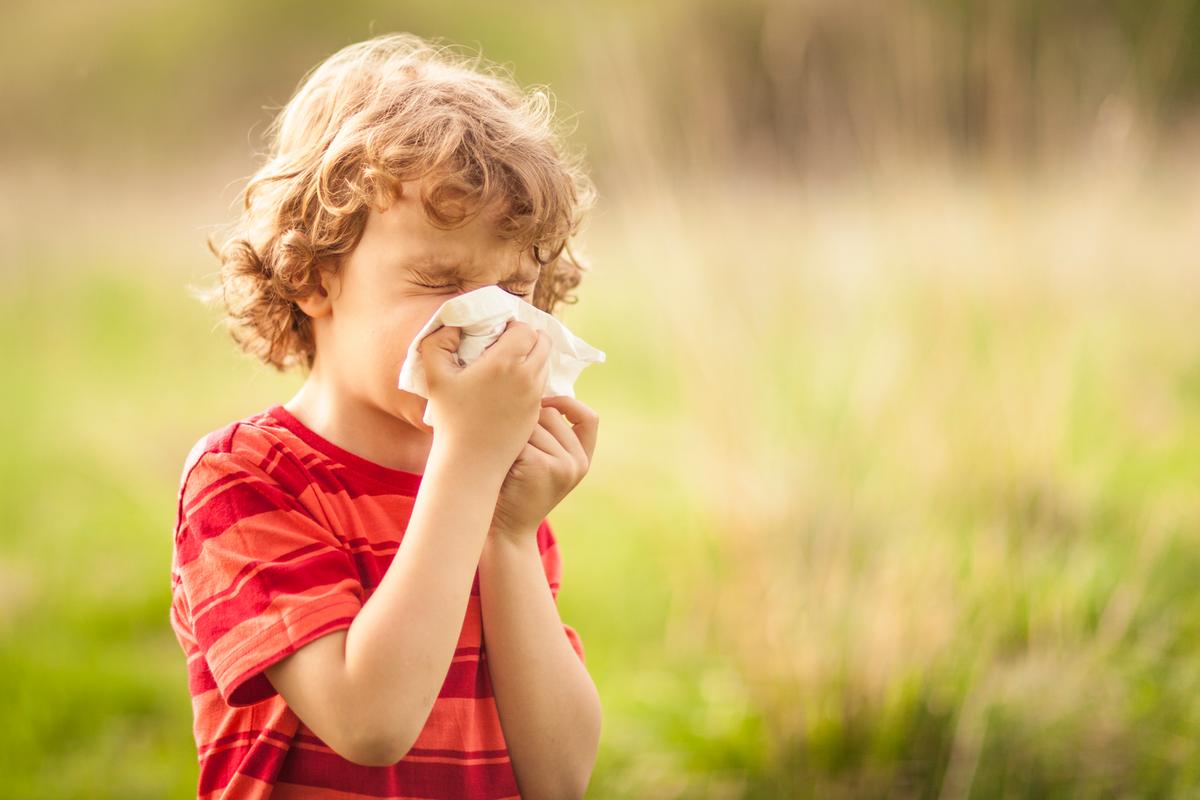 Et barn pudser næse i en serviet. Det kan være et symptom på pollenallergi.