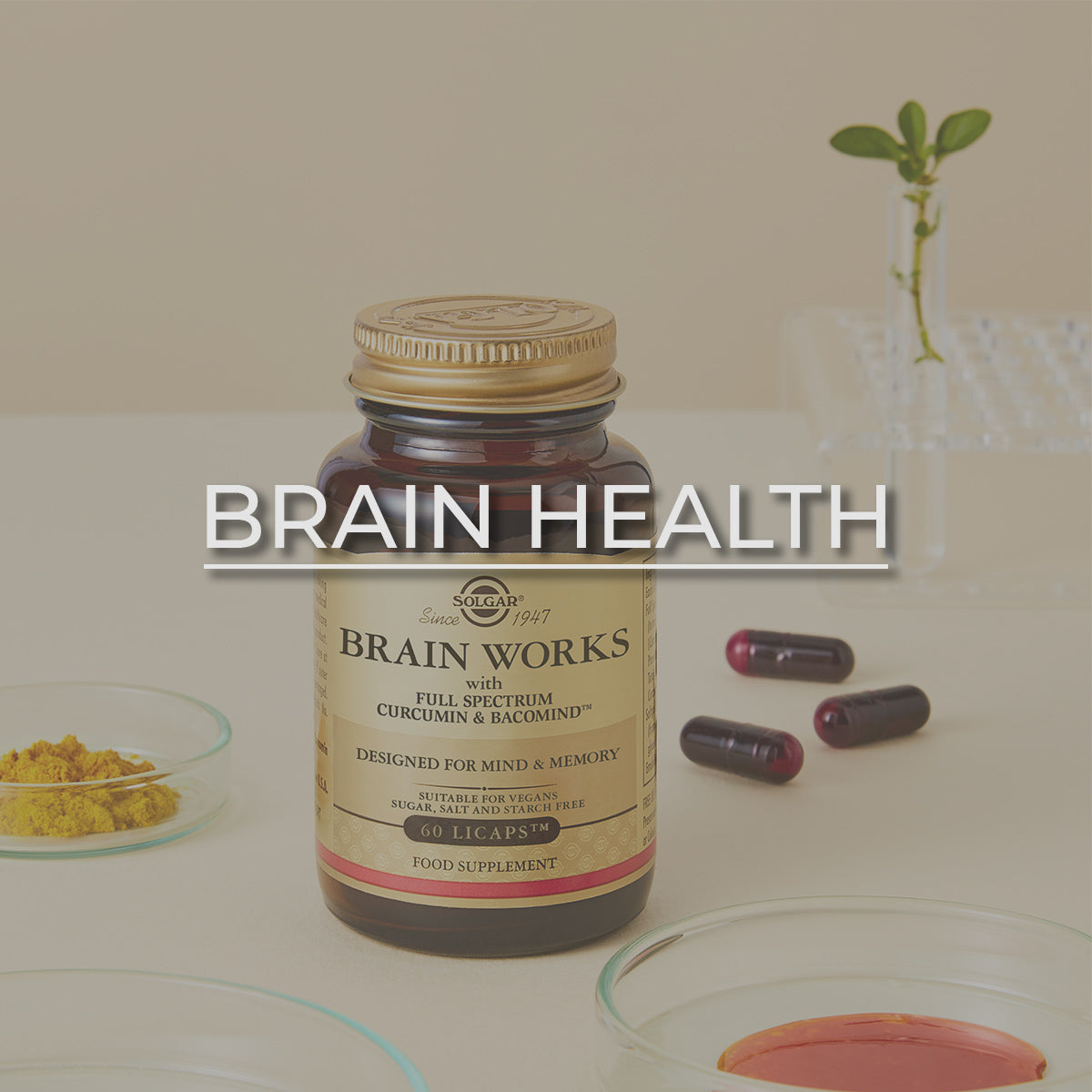 Click here to browse by Brain Health category