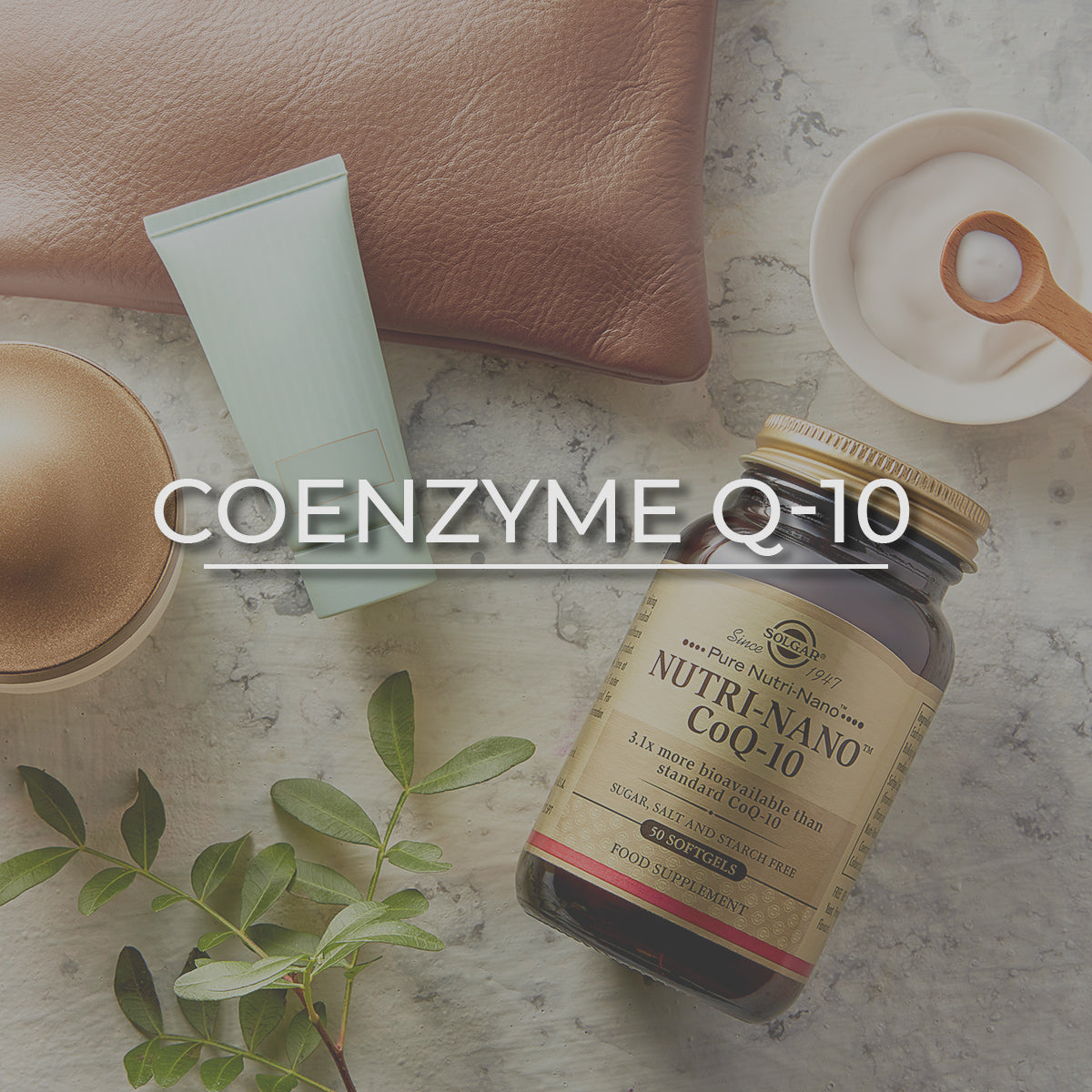 Click here to shop Coenzyme Q-10