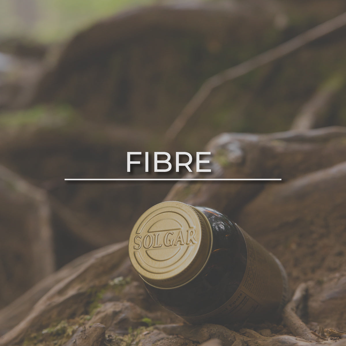 Click here to shop Fibre