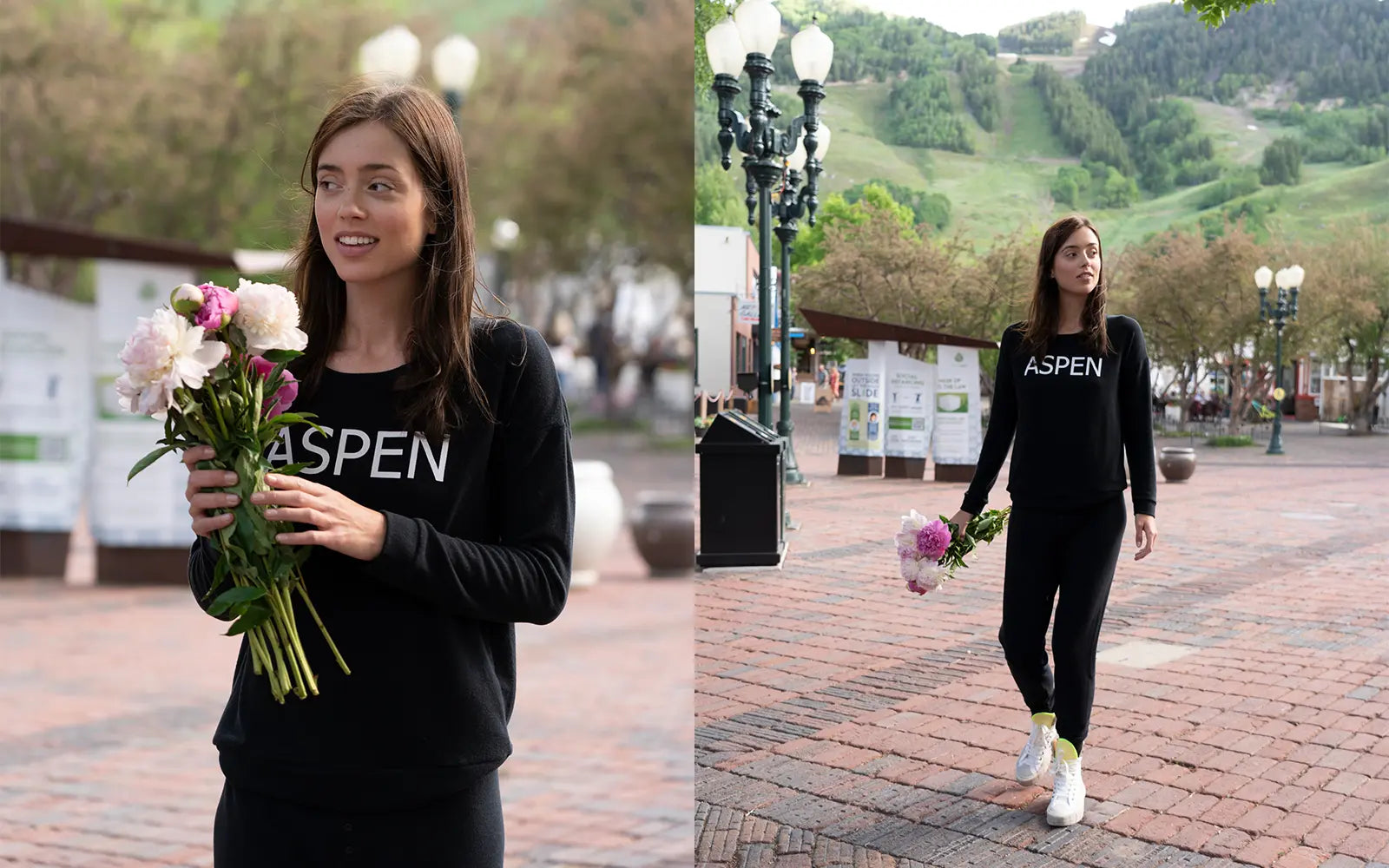 Aspen Dream Banner