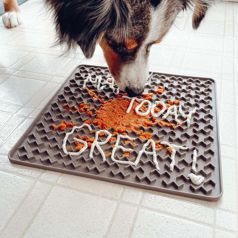 Australian  Shepherd  licking a healthy snack from interactive lick mat