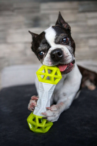 Juguete interactivo para perros masticando perros