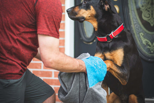 Microfiber dog towel with hand pockets