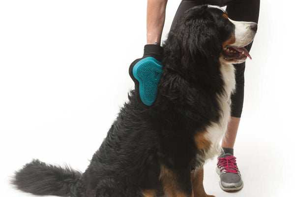 Reversible silicone pet grooming glove