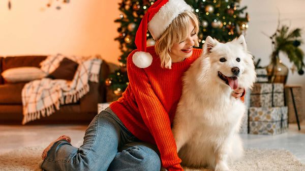 Los 10 mejores regalos de Navidad para perros