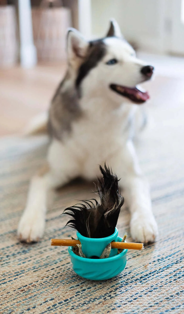 Totally Pooched by Messy Mutts Puzzle'n Play Mushroom Dog Toy