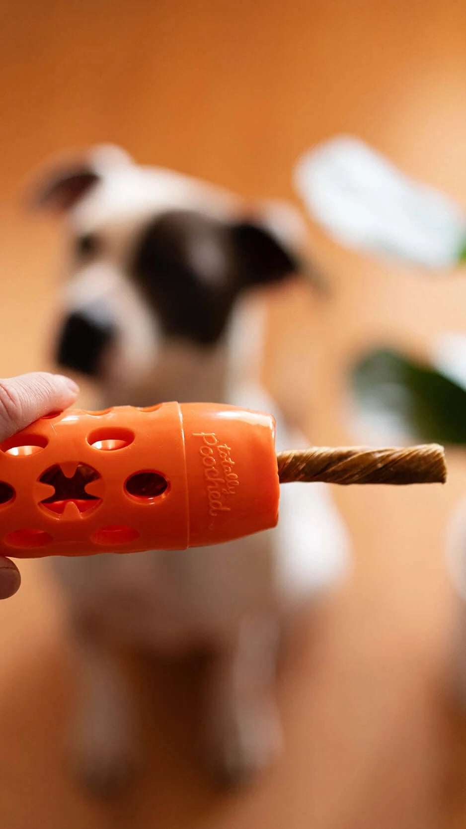 Totally Pooched Stuff'n Chew Bully and Chew Stick Treat Holder