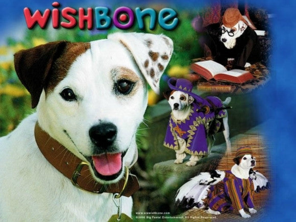 Tv Wishbone Complete Series 8 Dvd Set 50 Episodes Specials Very Rare Retrotvmemories