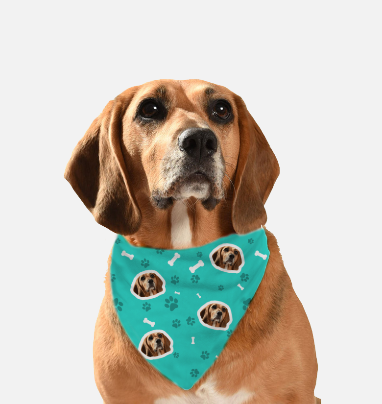 Download Personalized Dog Bandana Mega Paws