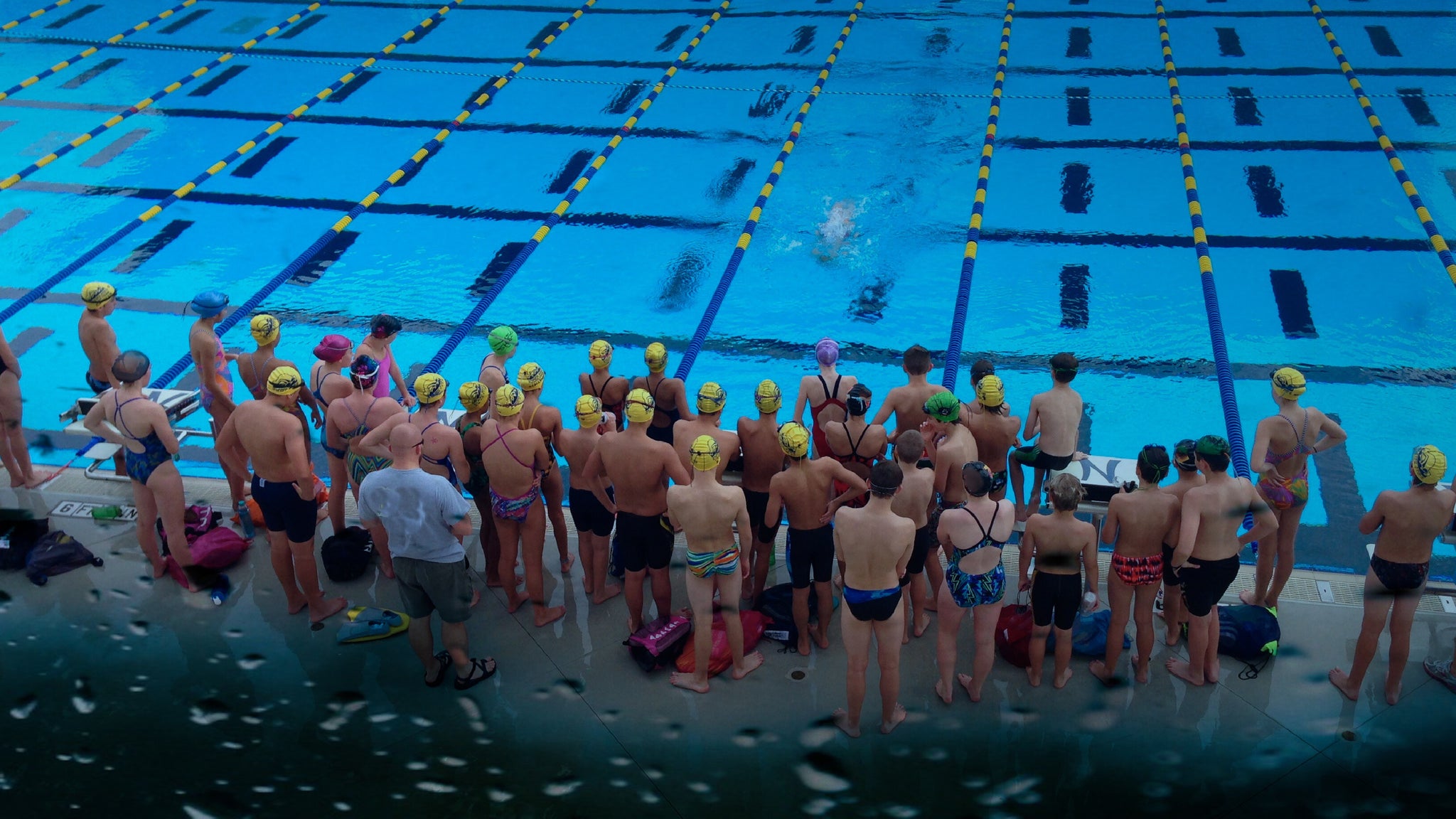 swim team suits