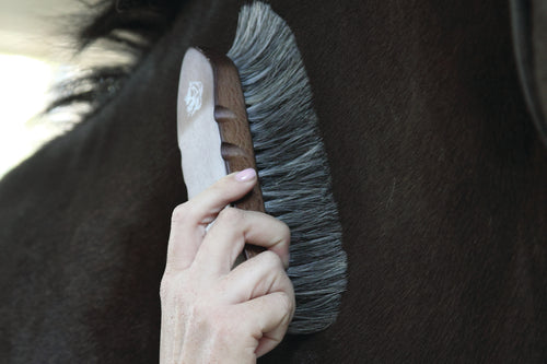 Professional's Choice Small Oval Wooden Horse Hair Brush – Leanin' Pole  Arena