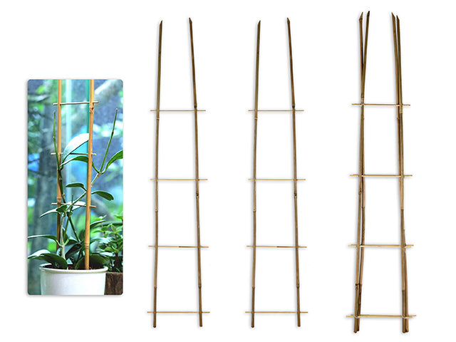 Bamboo Plant Supports