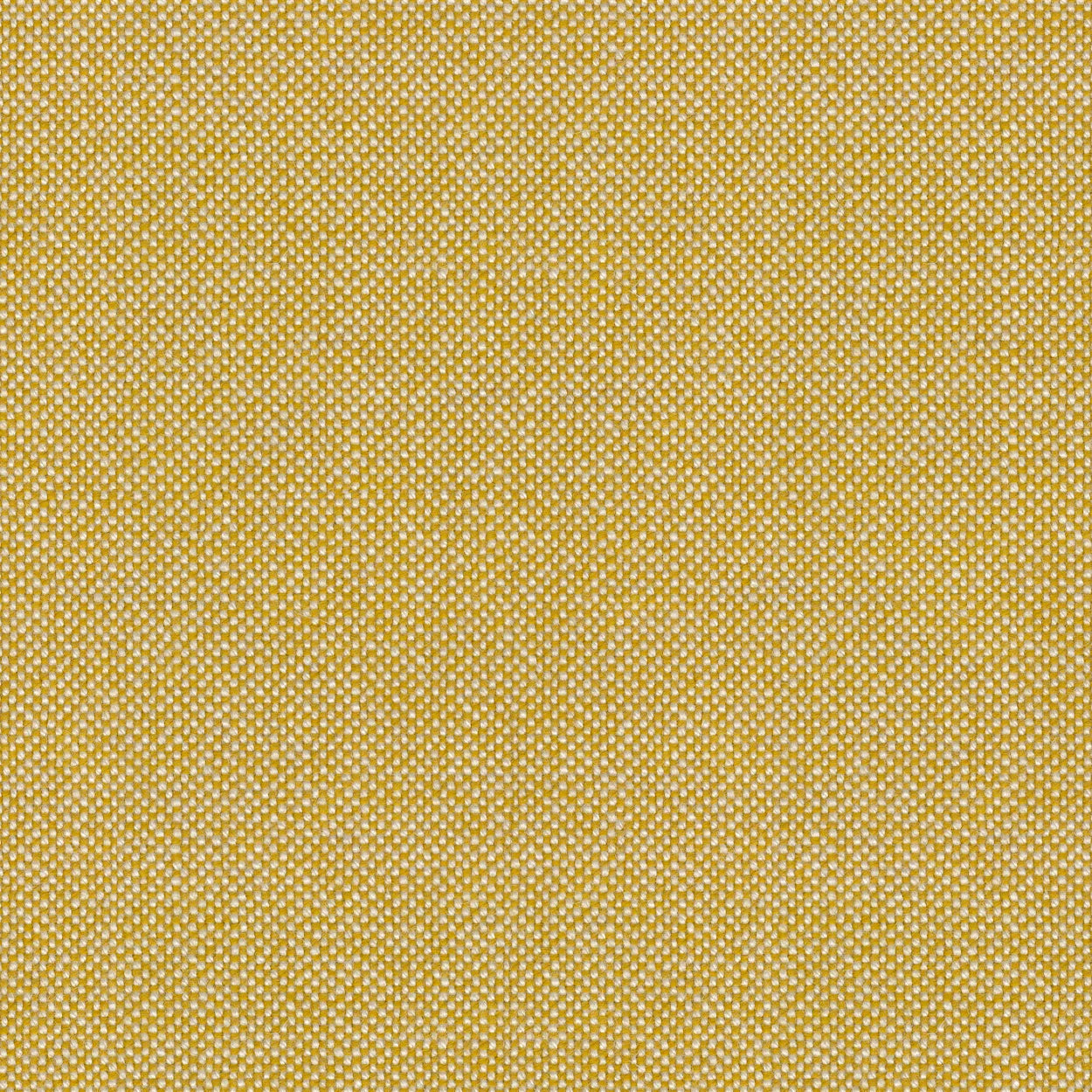 canvas 2 upholstery