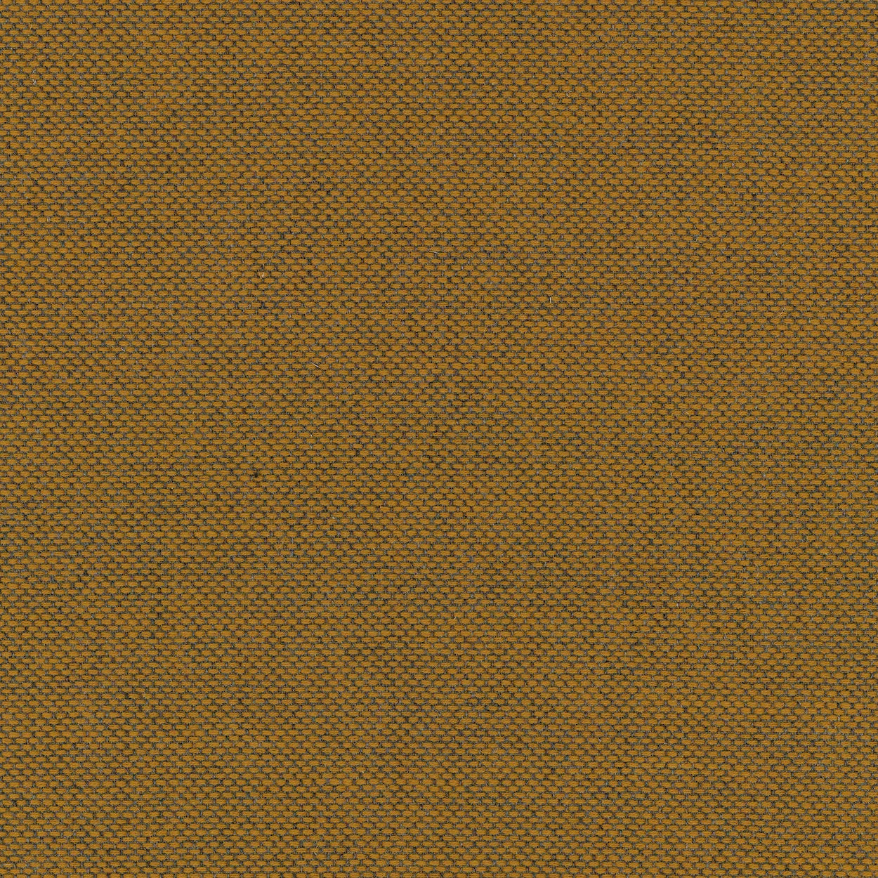 canvas 2 upholstery