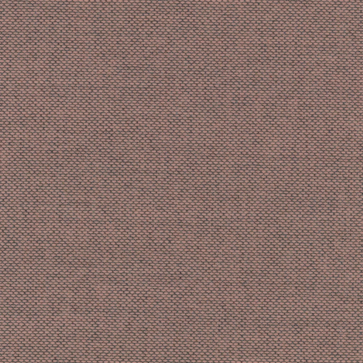 canvas 2 upholstery
