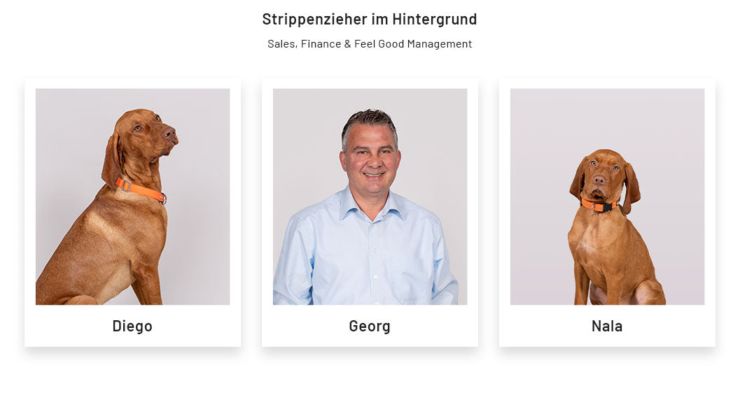 Team ABSINA - Strippenzieher im Hintergrund