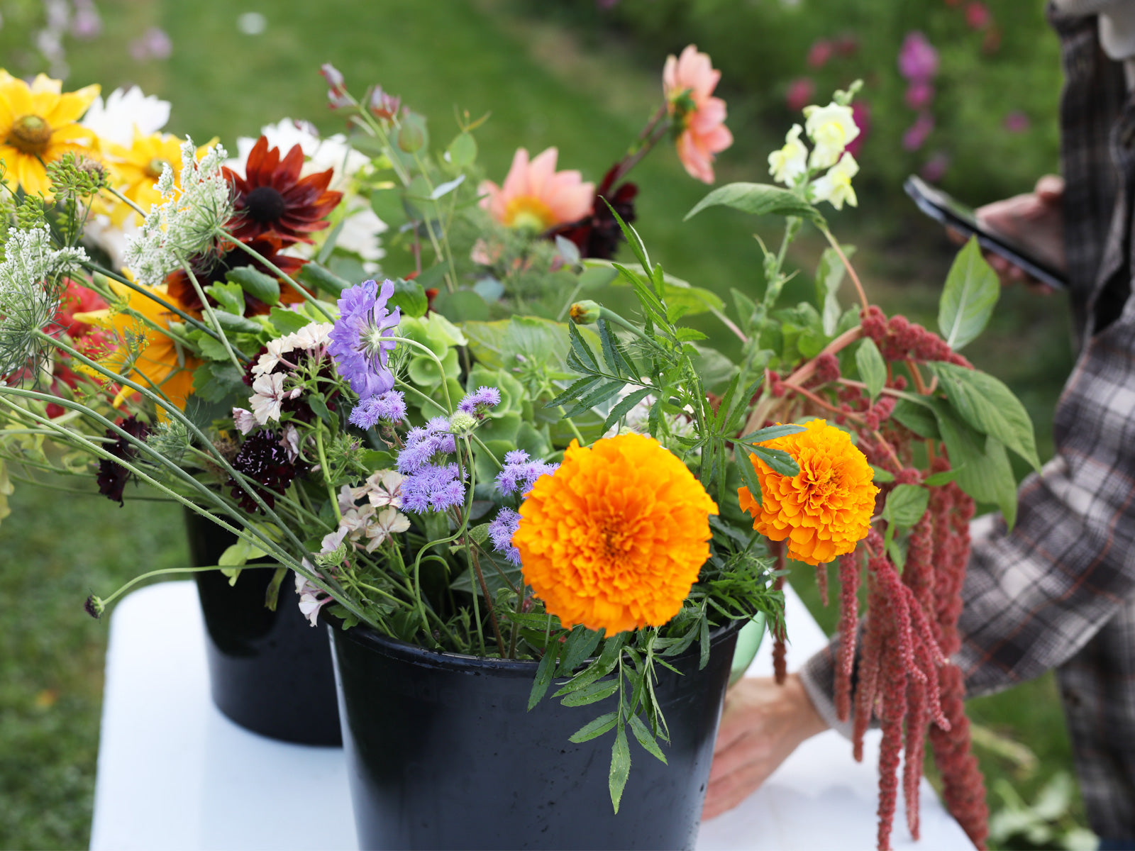 Blomster til smukke buketter