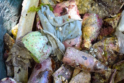 Collected ocean plastics in Mauritius lagoon