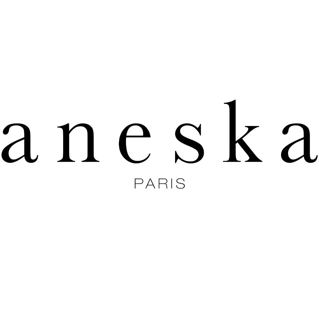 Logo Aneska