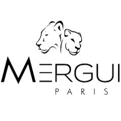 Arie Mergui Logo