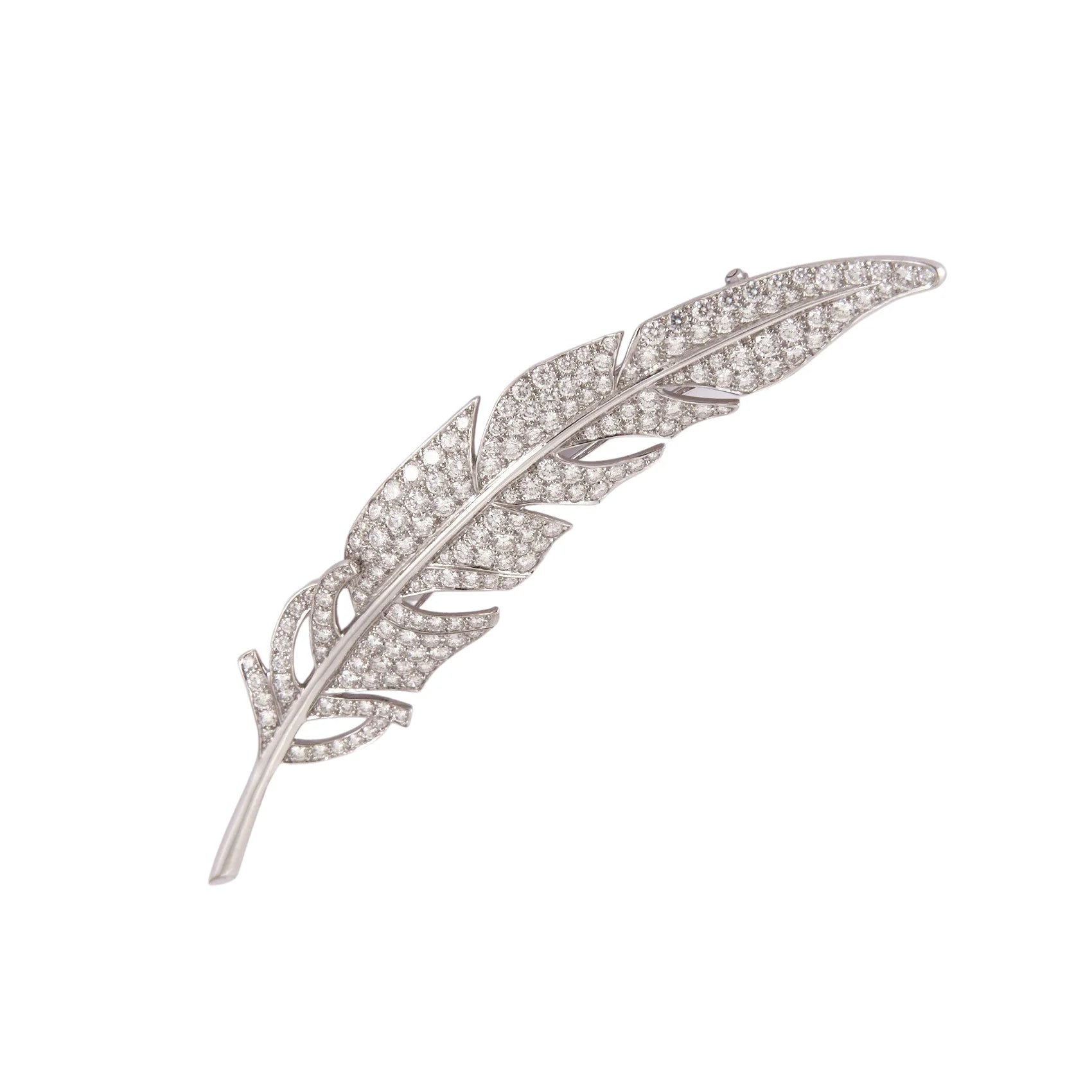 Boucheron feather