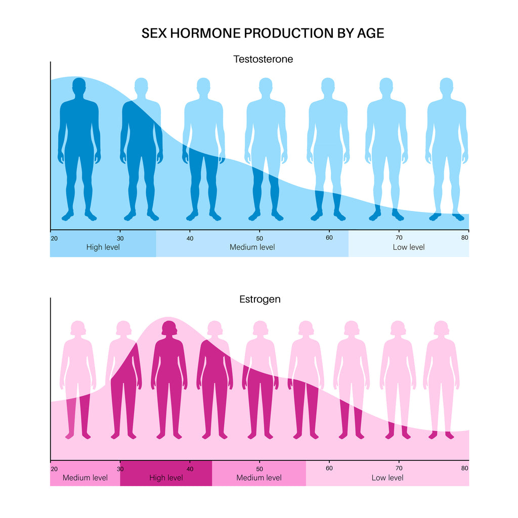 Hormone Levels By Age Range at NW Integrative Medicine
