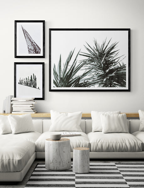 Black & White Botanicals Wall Art 