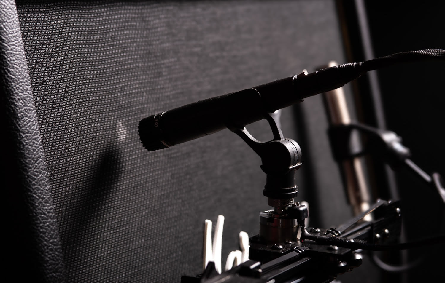 Microphone and a guitar cabinet