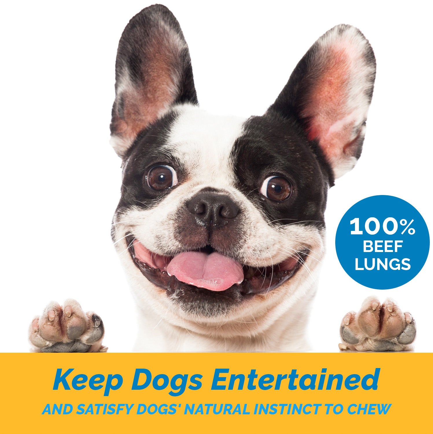 are beef lung treats good for dogs