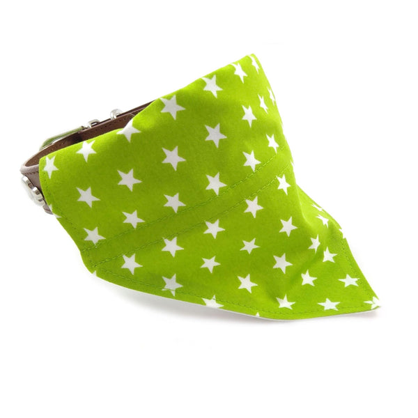 front view of green stars dog neckerchief on collar